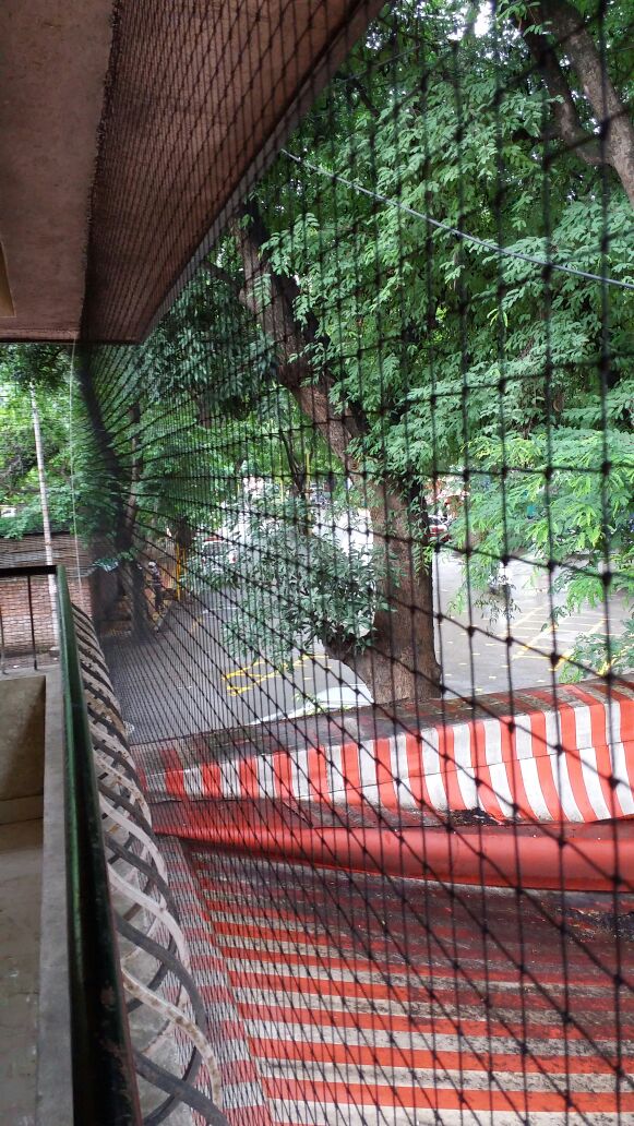 Bird Netting